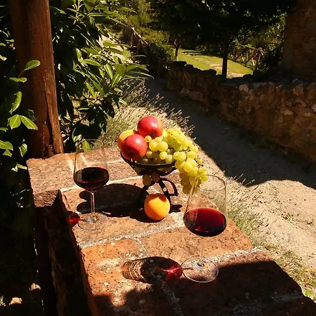 Casa vacanze Holiday Salvia 1 Greppoleschieto