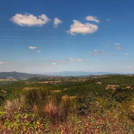 Casa vacanze Holiday Salvia 1 *